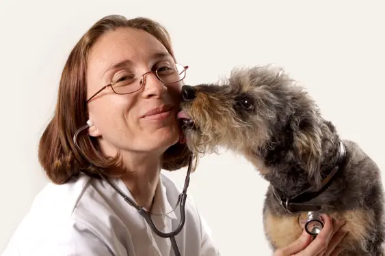 How often should I take dog to vet