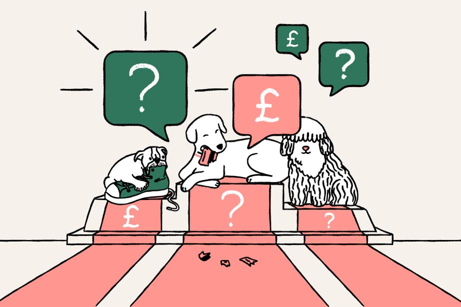 Cheapest and most expensive dog breeds