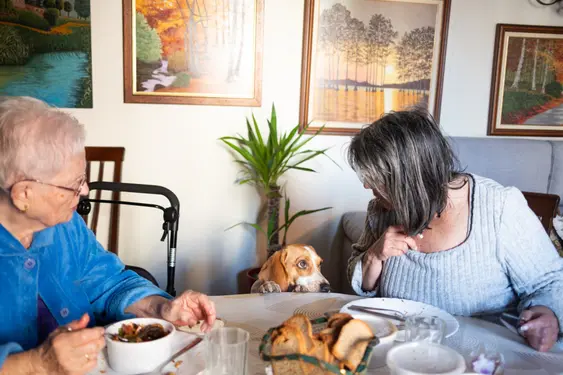 A guilty-looking dog looks at a woman who is eating breakfast, the dog is begging for food while a second woman to their right looks at them