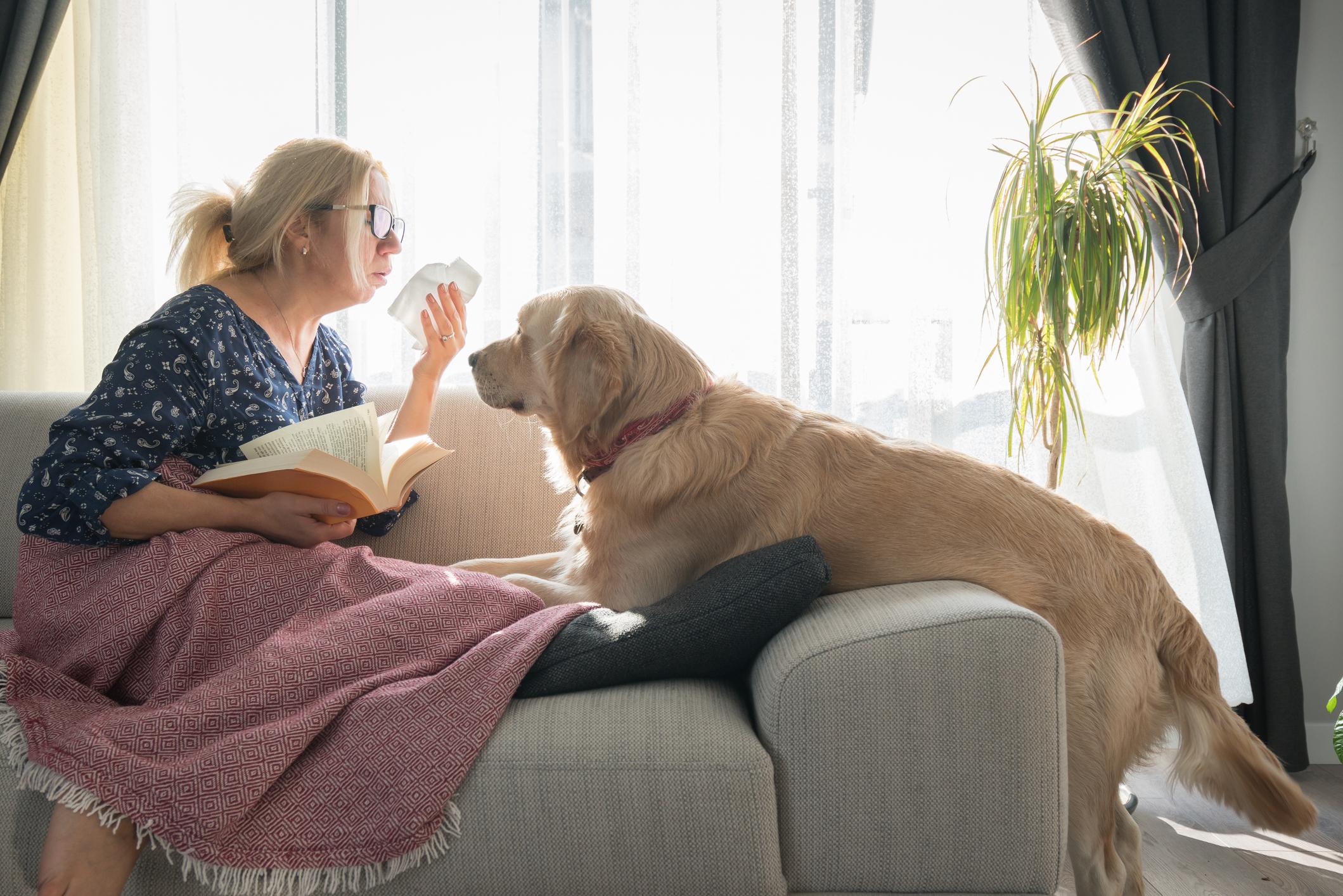 A woman sneezes while reading a book into a napkin, her dog looks at her with concern