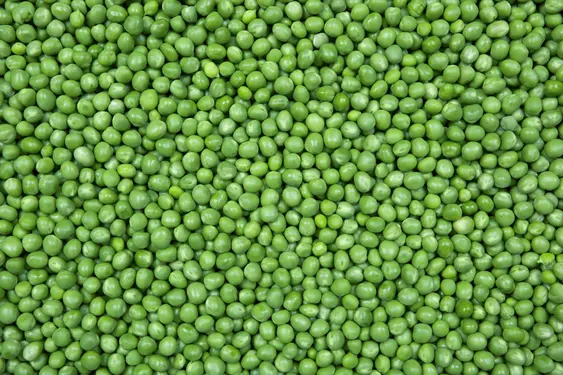 Close up of peas