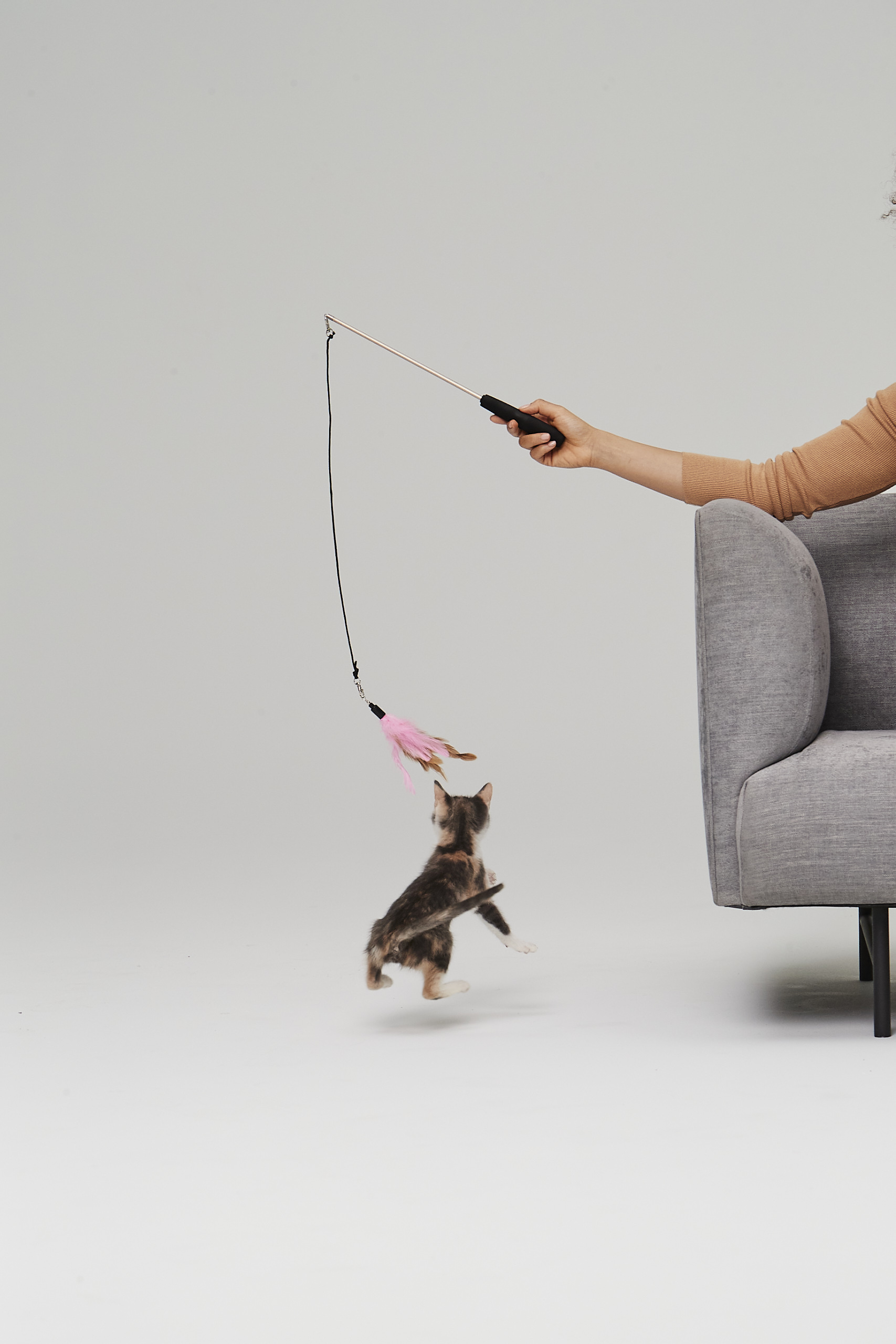 Kitten Playing With a Wand