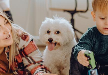 A woman, a toddler, and a small white dog playing with a toy train on a patterned rug.