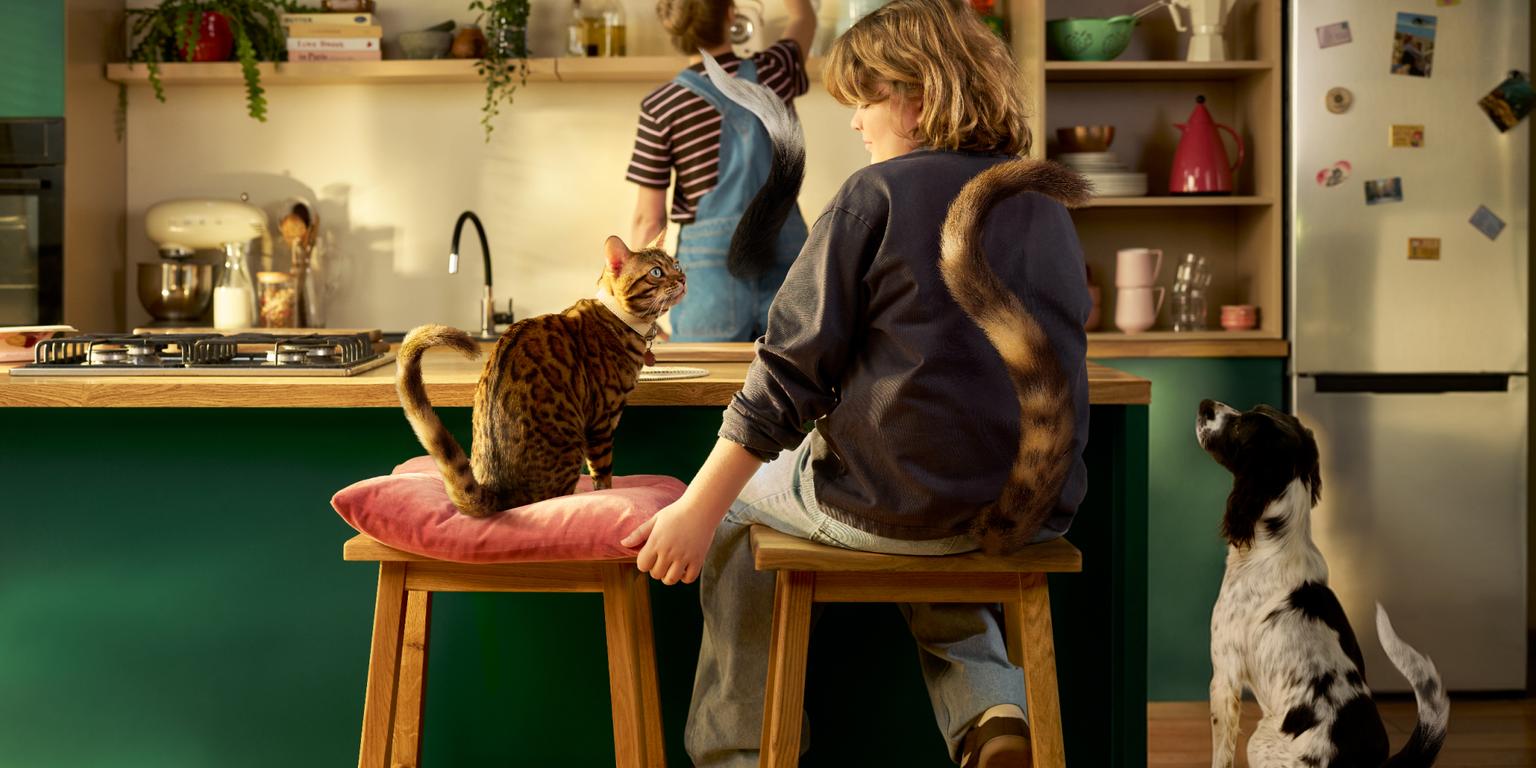 Image of a boy with a matching tail to his cat, as well as a woman with a matching tail as her dog, both are sat in the kitchen