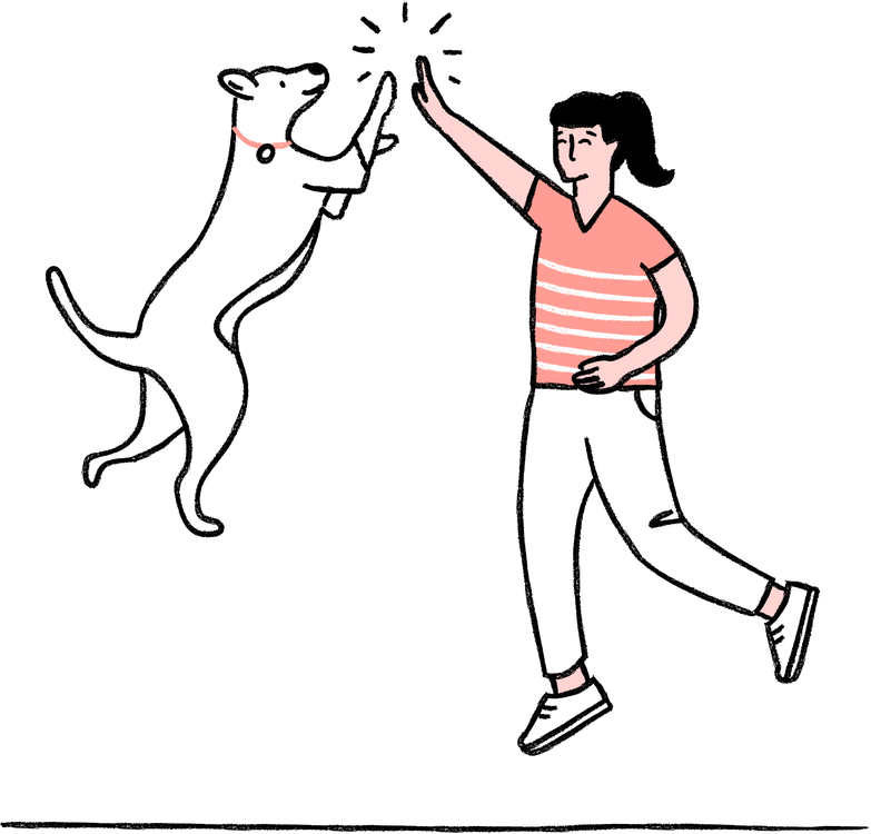 Dog and human sharing a celebratory high five