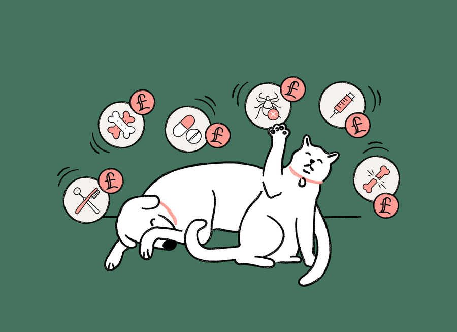 Pets money bills
