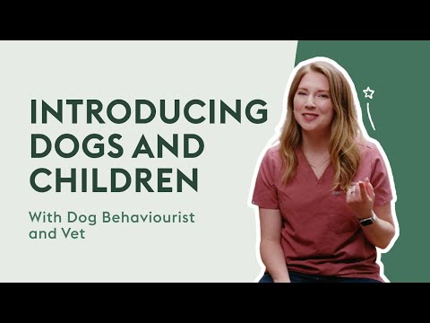 How To Introduce Your Dog To Children | Dog Behaviour Tips