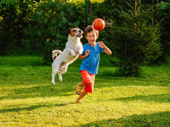 Boy playing with dog and ball