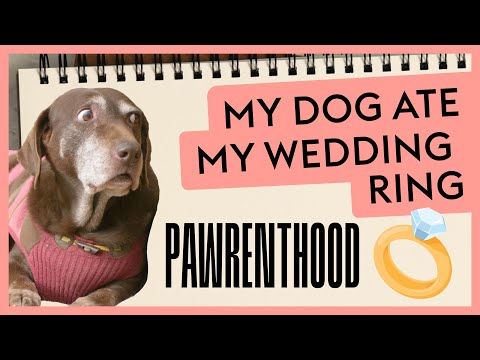 Does having pets make dating & relationships harder? · Pawrenthood Episode #2