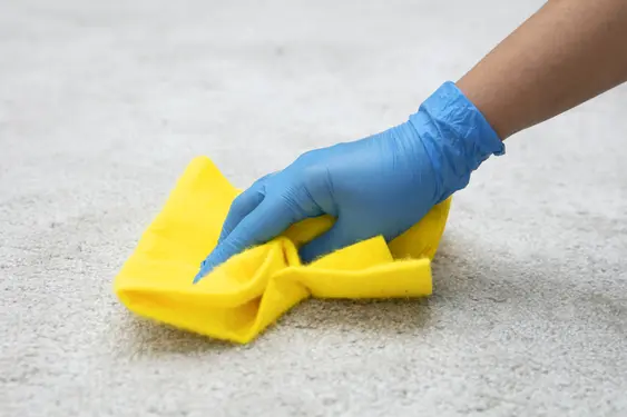 A person with blue gloves on cleans a grey carpet with a yellow cloth