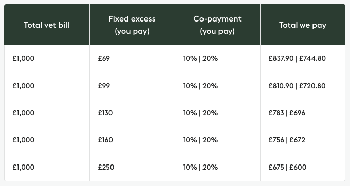 A table of copayment examples