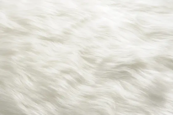 close up image of white dog fur