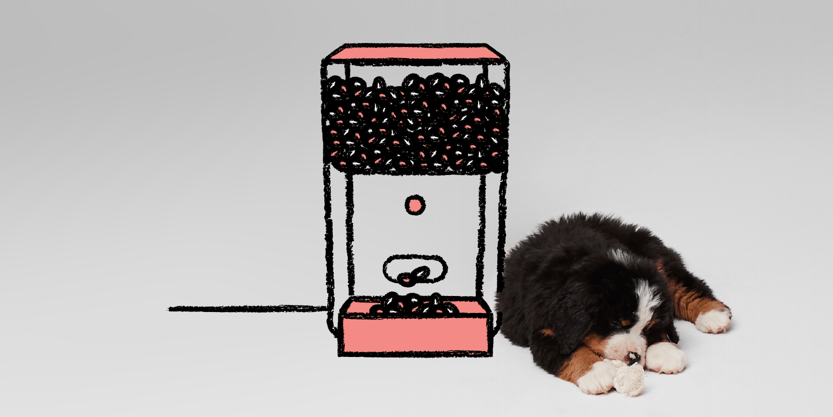 Dog at vending machine