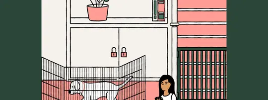 How to dog and child-proof your home