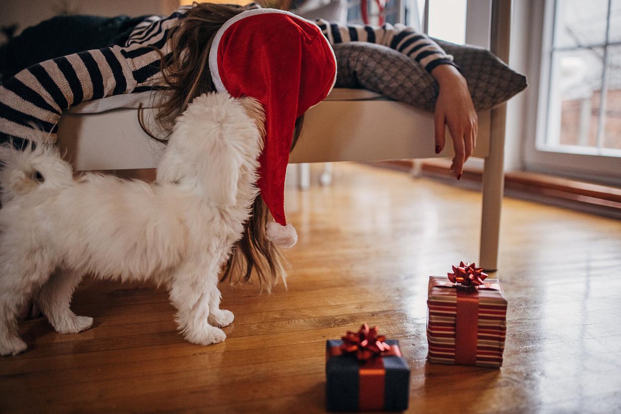 A woman in a Santa Hat lies down hungover, her dog is sniffing her to see if she's okay