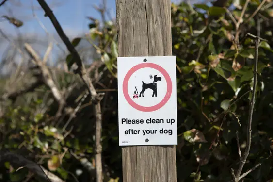 Dog poo sign