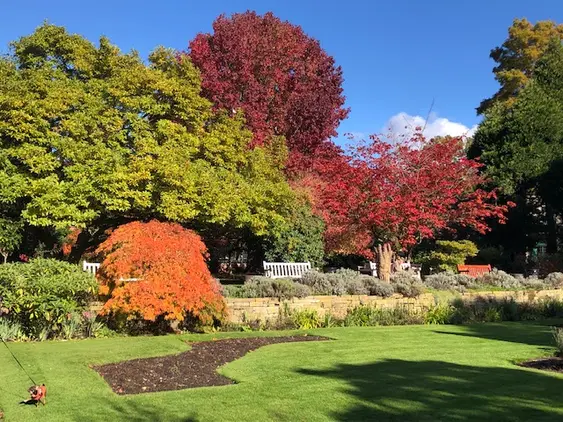 Lush autumnal scene at Fletcher Moss Park with a vibrant palette of trees in red, orange, and yellow hues. A well-maintained lawn leads to a serene sitting area beneath the colourful foliage.