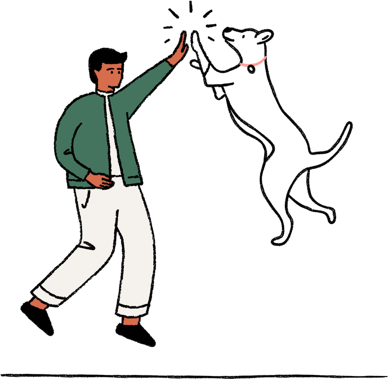 A person high fiving a dog