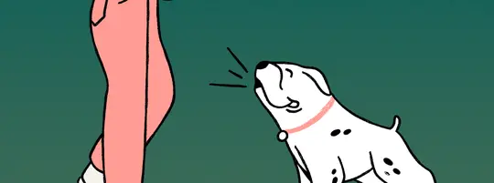 Dog Barking
