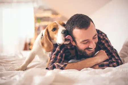 Dog licking a man's face