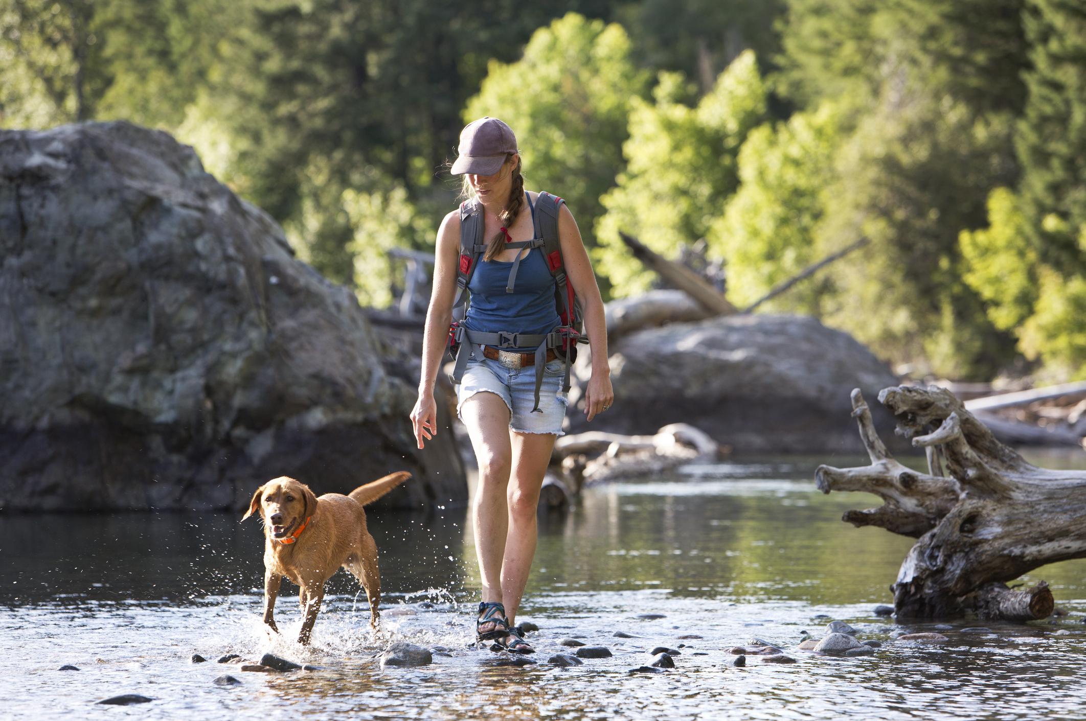 A woman hikes through very shallow water with her brown dog at her side