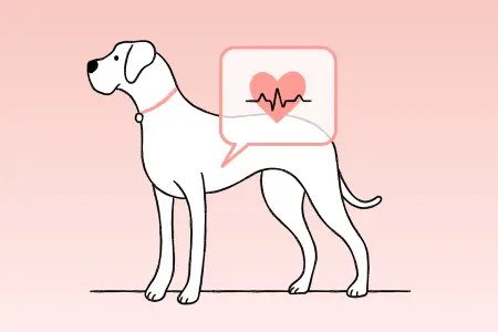 Illustration of a dog, with a speech bubble containing a heart and an electrocardiogram (ECG) line.