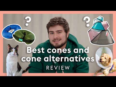 Best pet cones and cone alternatives - review of dog and cat cones and suits