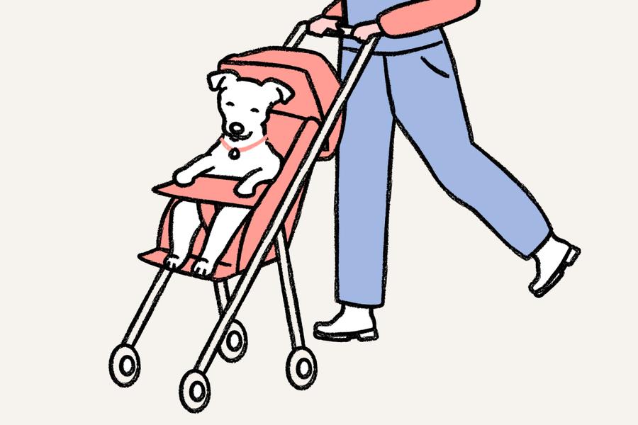 drawing of a dog in a stroller