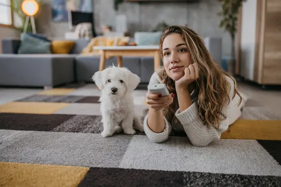 Image of a small, white dog sitting next to their owner as they watch the tv while laying down