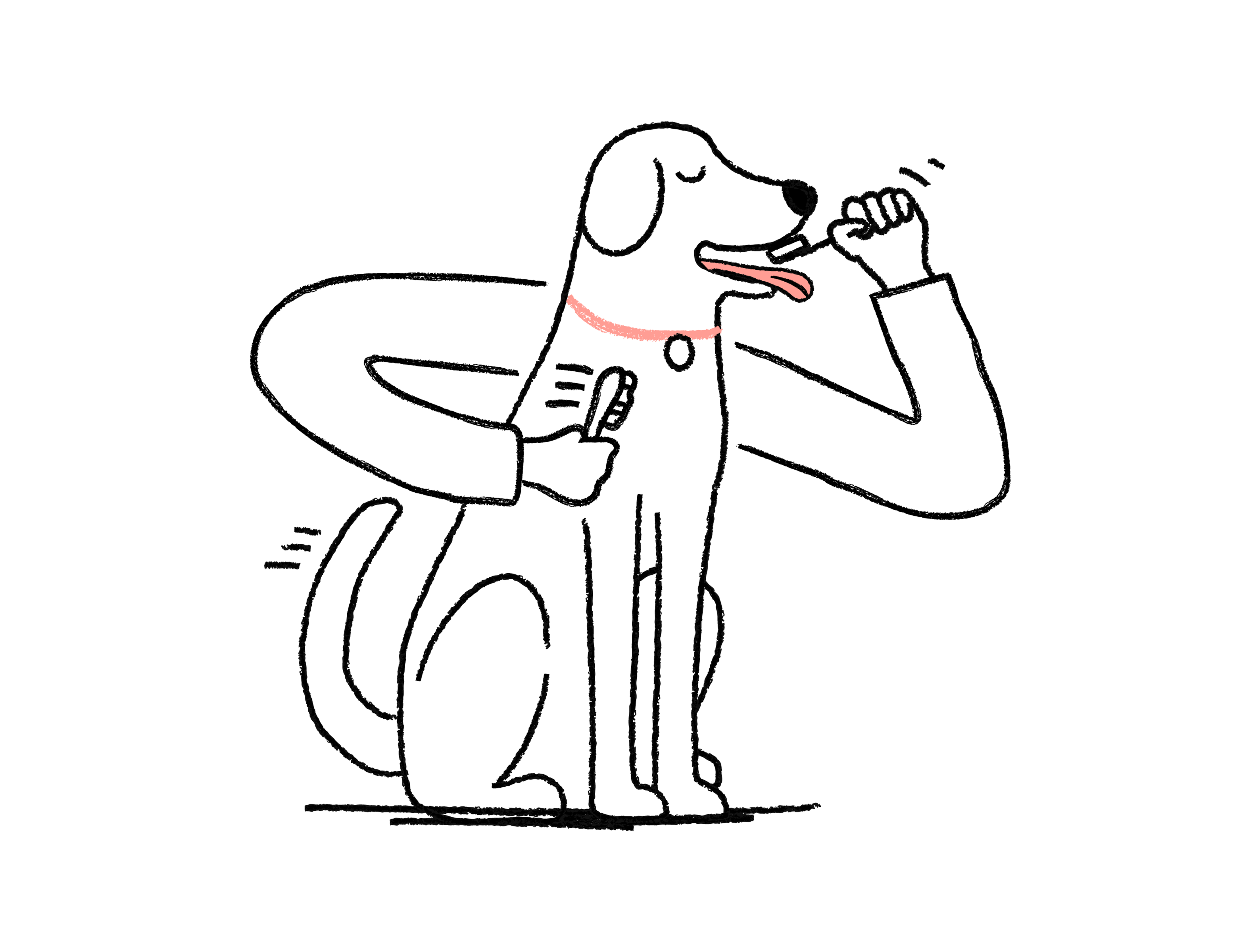 arms reaching around a dog brushing his teeth