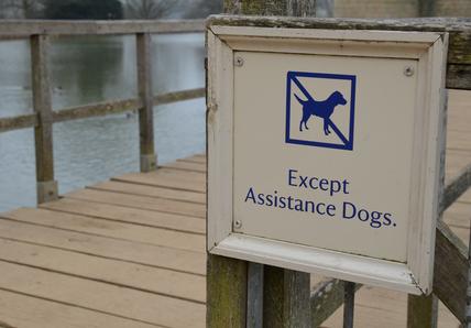 assistance dog sign