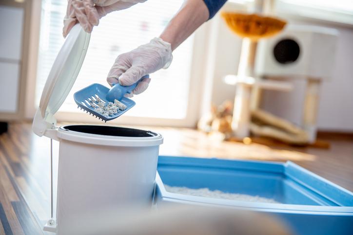 Pet Owner Cleaning Litter Box and Putting Remains in Small Garbage Bin.