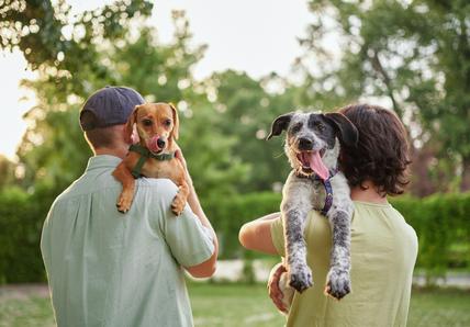 two people holding dogs over their shoulders and walking outside