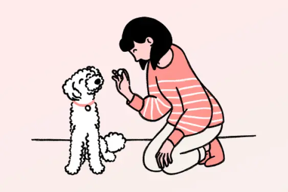 woman training dog