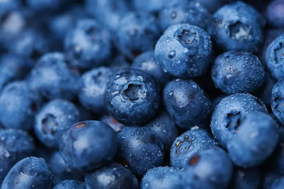 Close-up of some fresh blueberries