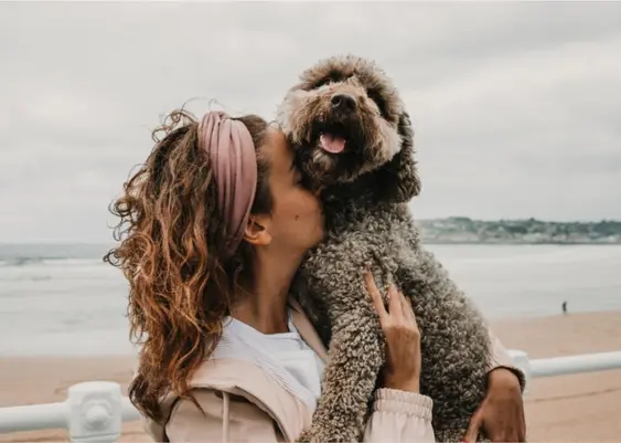 Woman with dog on beach