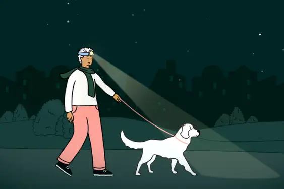Man walking a dog at night wearing headlamp