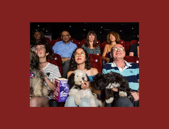 Happy moviegoers with their dogs enjoying a film in a pet-friendly cinema, complete with popcorn and smiles all around in a cozy theatre setting