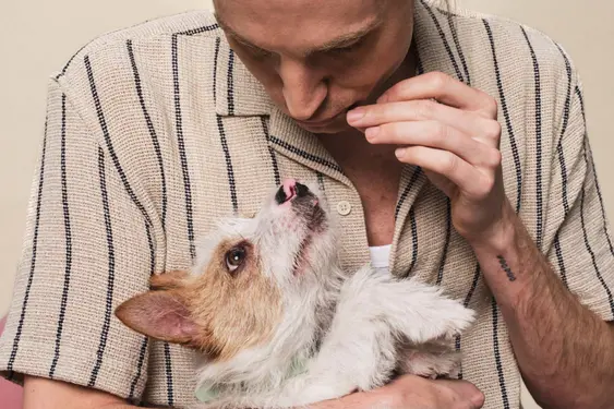 owner in beige striped shirt holding terrier dog