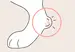A drawing of a dog's foot with a circled area highlighting a red, inflamed spot on the heel