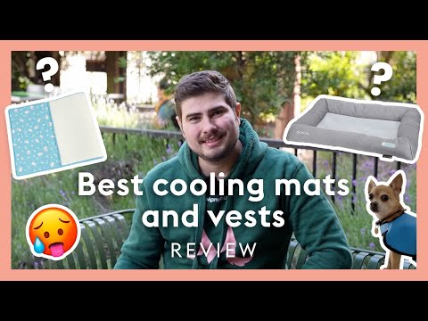 Best dog cooling mats UK - cooling mats & vests review