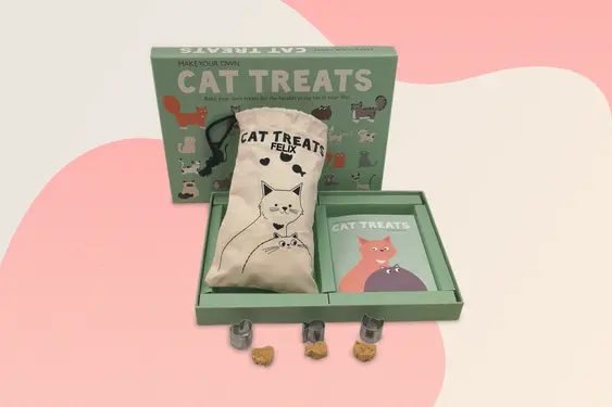 Make your own cat treats kit