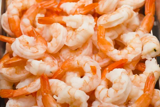 Close-up of shrimp