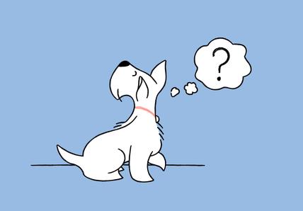 Illustration of a white dog on a blue background with a question mark representing a dog with dementia