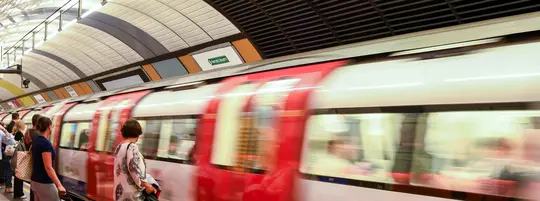 Dog getting on Tube