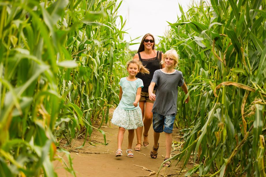 Family running through a field of maize