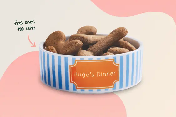 Personalised Stripe Pet Bowl, by We Love To Create