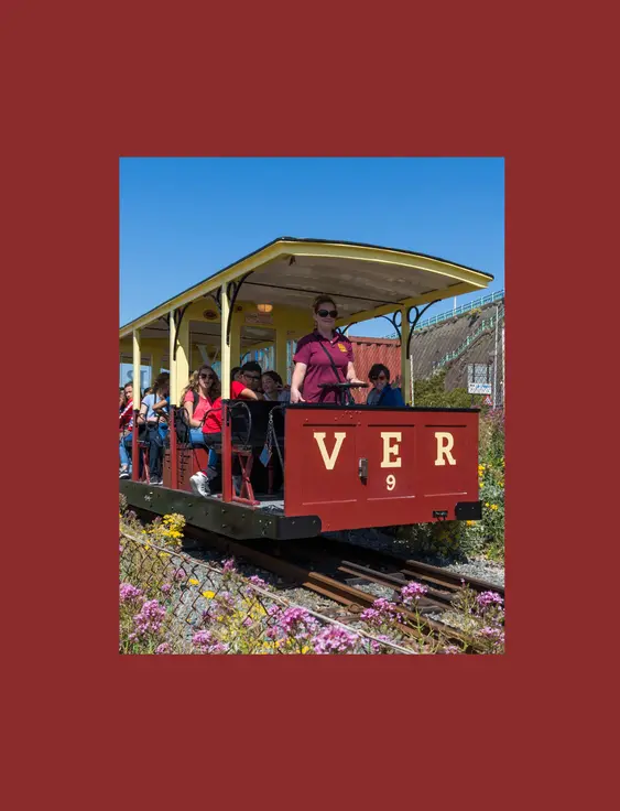 lady in sunglasses driving small red train