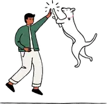 A person high fiving a dog