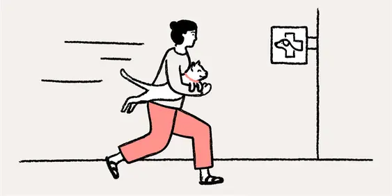 Woman running with her cat to the Vet